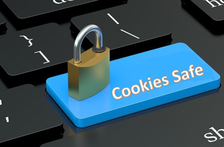 secure-cookie-reporting-webpage-project